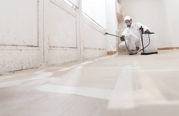 24/7 Emergency Attic Mold Removal experts in Reading, MI
