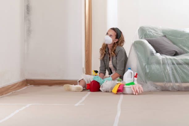 Reliable Attic Mold Removal contractor in Reading, MI by WQB Mold Removal